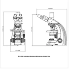 OPTO EDU A12 0205 B Laboratory Biological Microscope Binocular 4