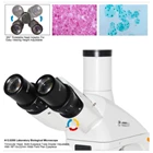 OPTO EDU A12 0205 B Laboratory Biological Microscope Binocular 5