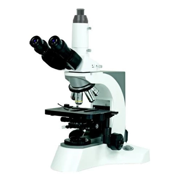 Mikroskop Biologi Bestscope Bs 2080