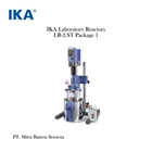 Reaktor Laboratorium IKA 1